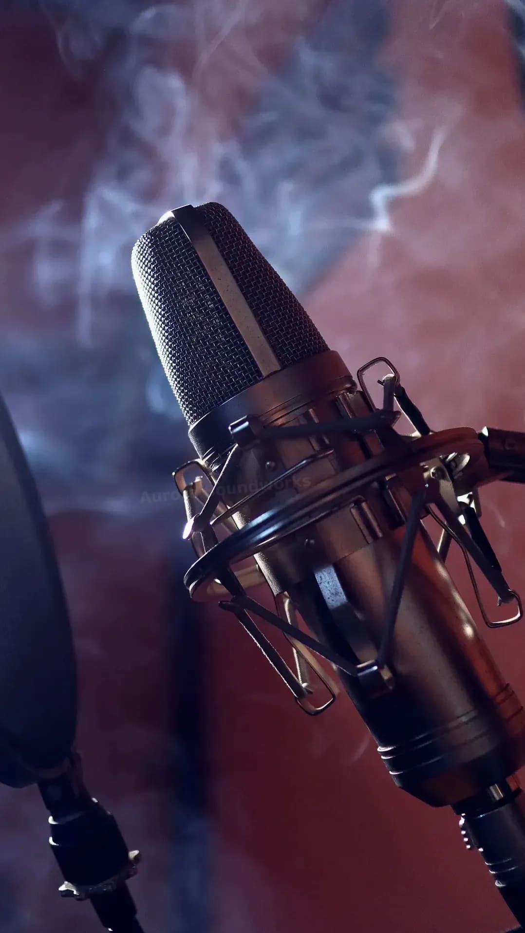 Microphone and mixer supply